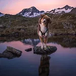 Apartahotel Oskar Neustift im Stubaital