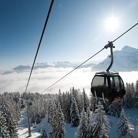 Oskar نيوستيف ام ستوبيتا