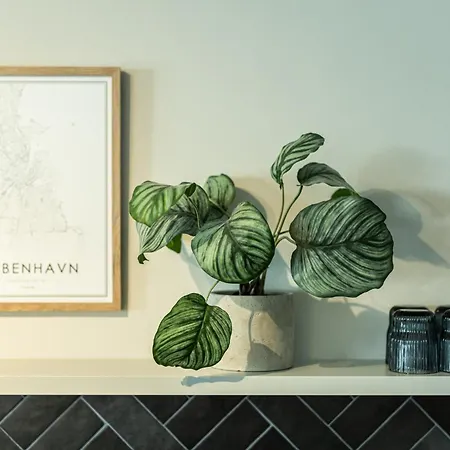 Oskar Ξενοδοχείο με διαμερίσματα 4*